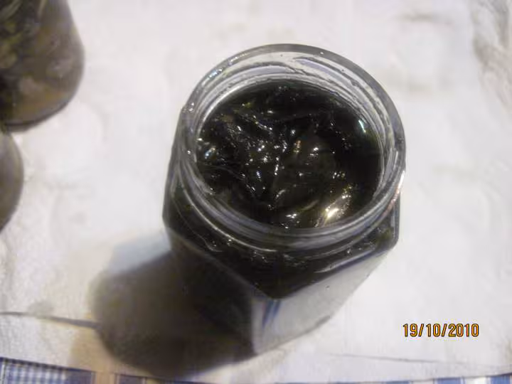 Sterilisation champignons pleurotes savages