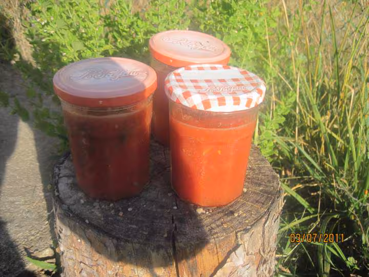 Sterilisation de coulis de tomates au basilic