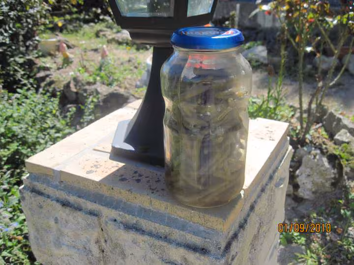 Sterilisation de haricots rouges