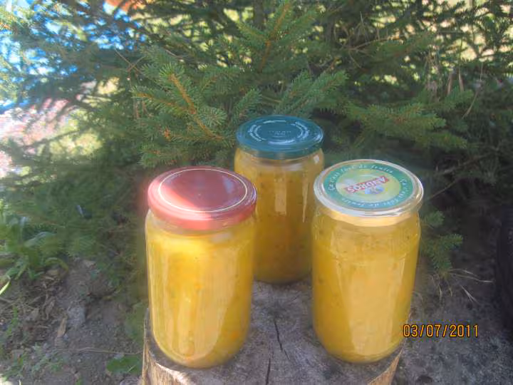 Sterilisation de soupe courgettes et carottes