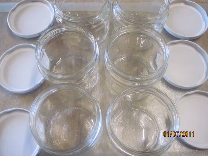 Sterilisation des champignons brun