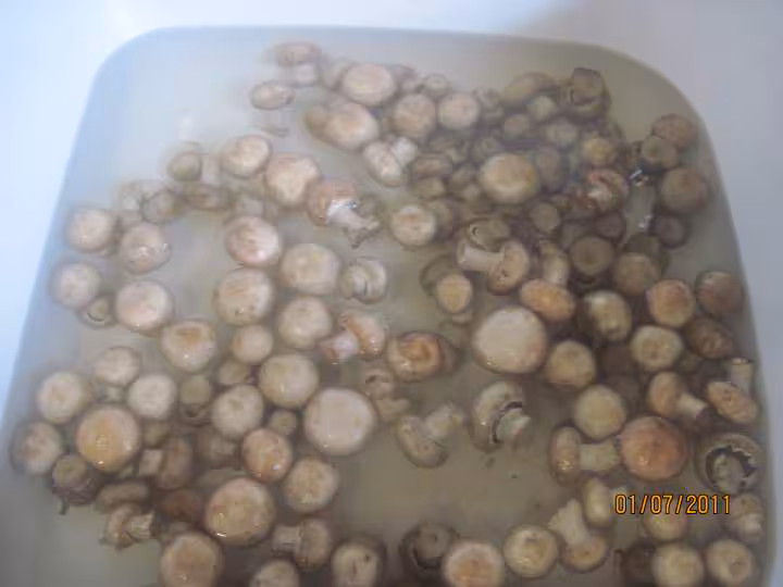 Sterilisation des champignons brun