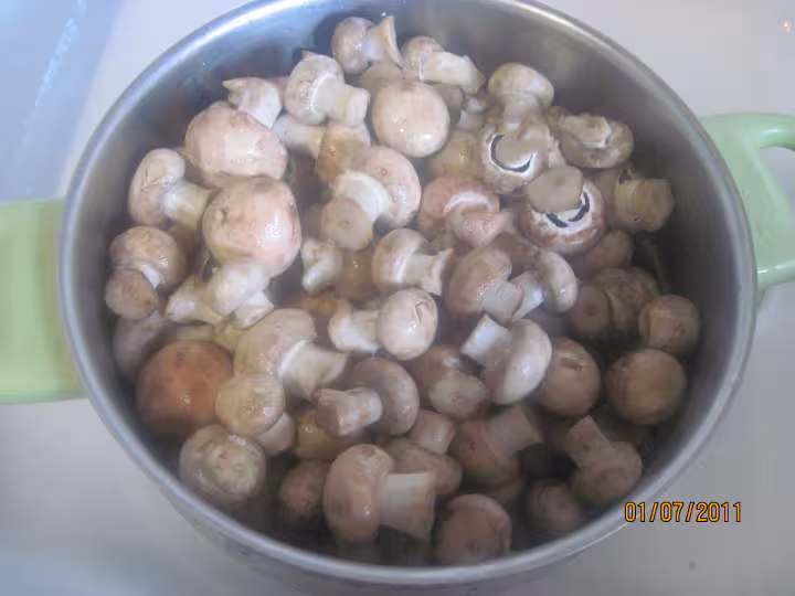 Sterilisation des champignons brun