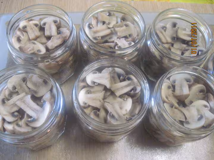 Sterilisation des champignons brun