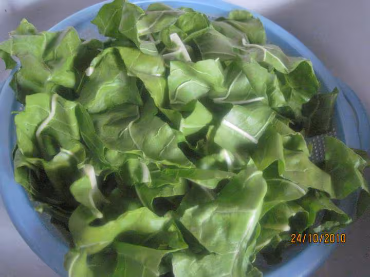Sterilisation des feuilles de blettes