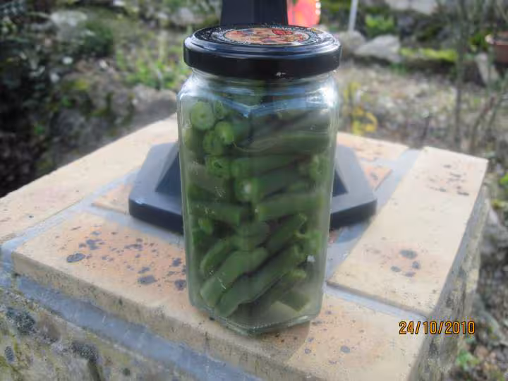 Sterilisation des haricots verts cuisine