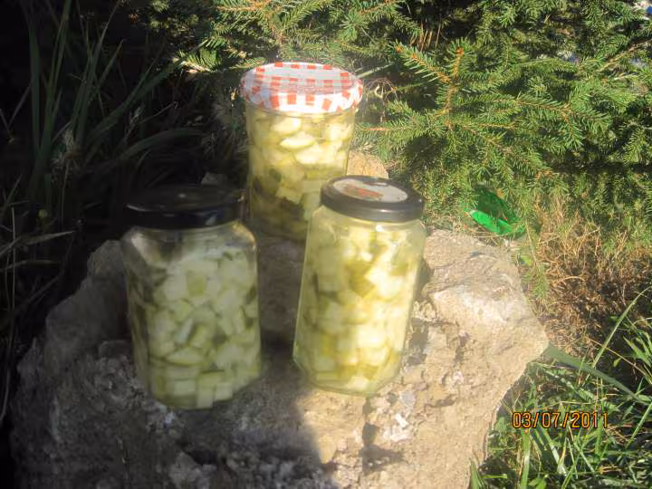 Sterilisatiuon de des de courgettes