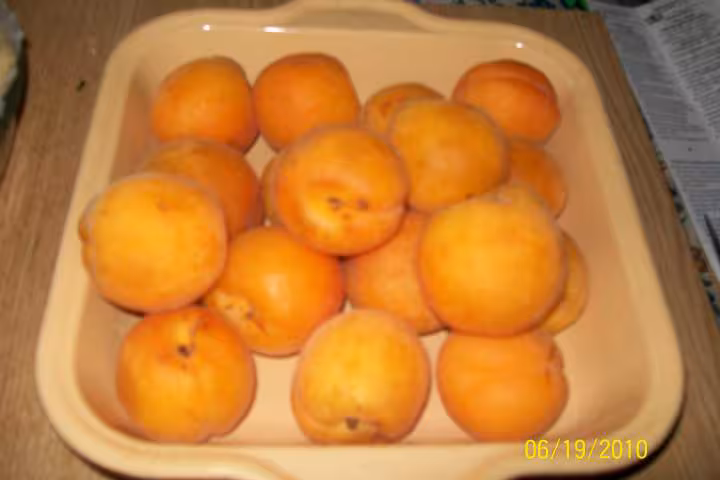 Tarte aux abricots a la creme caramel