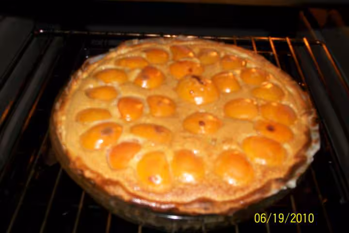 Tarte aux abricots a la creme caramel