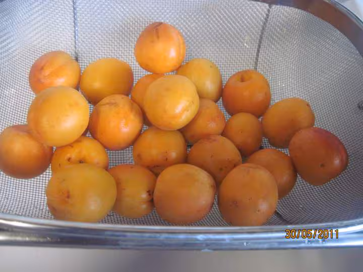 Tarte aux abricots a la vanille