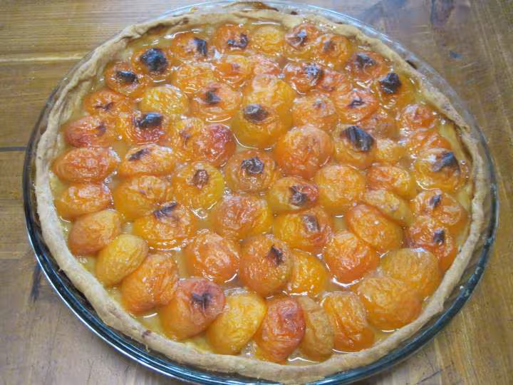 Tarte aux abricots nature