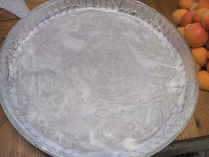 Tarte aux abricots nature