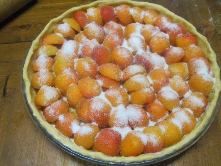 Tarte aux abricots nature
