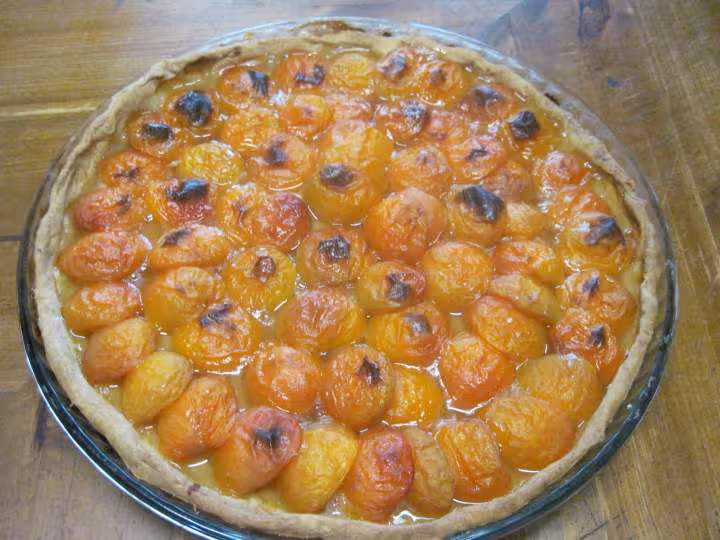 Tarte aux abricots nature