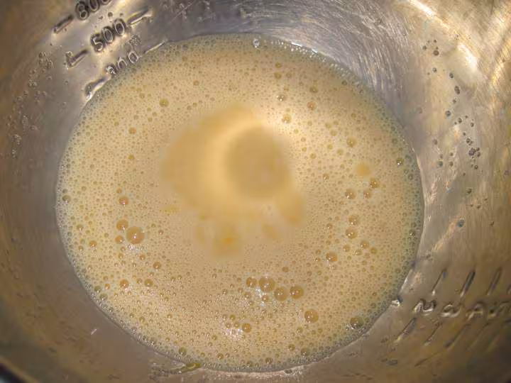 Tarte aux brugnons jaunes