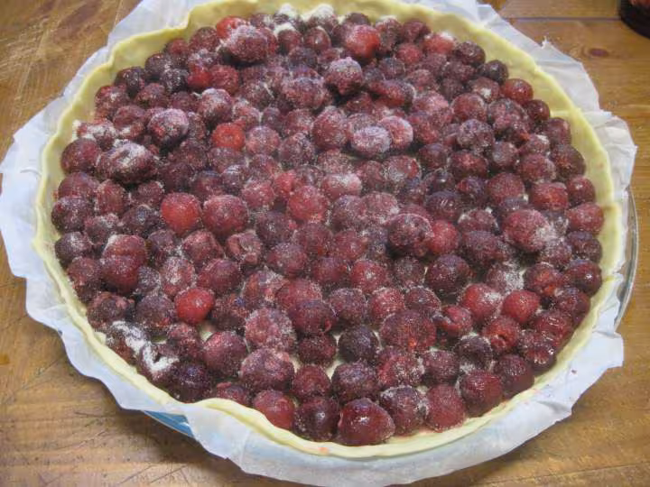 Tarte aux cerises griottes surgelees