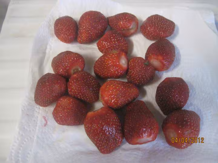 Tarte aux fraises et kiwis creme patissiere