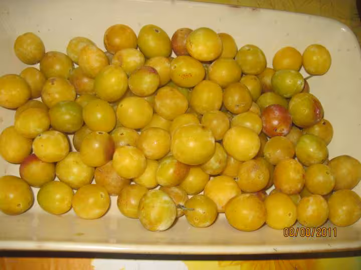 Tarte aux mirabelles