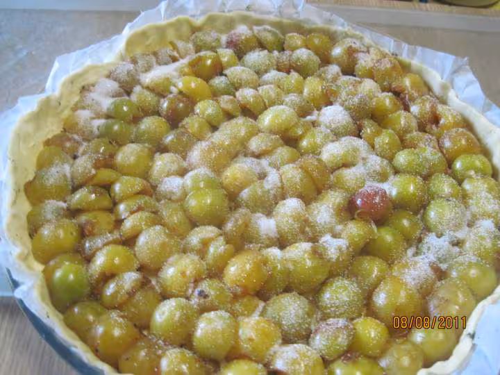 Tarte aux mirabelles