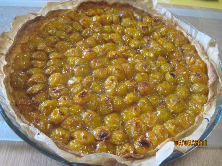 Tarte aux mirabelles