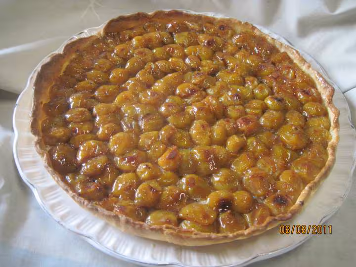 Tarte aux mirabelles