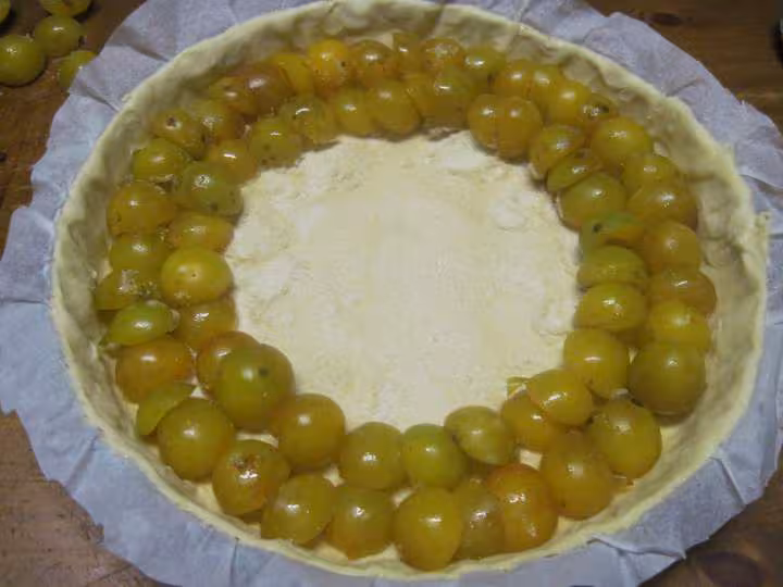 Tarte aux mirabelles nature