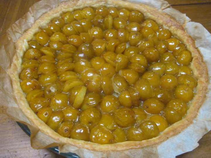 Tarte aux mirabelles nature