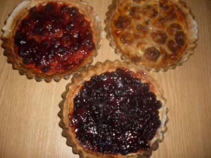 Tartelettes aux fruits