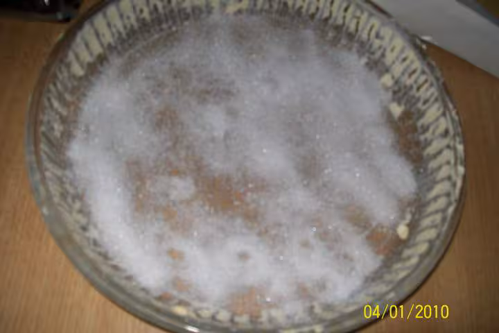 Tatin aux myrtilles et pommes