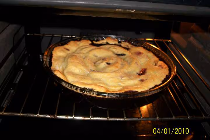Tatin aux myrtilles et pommes