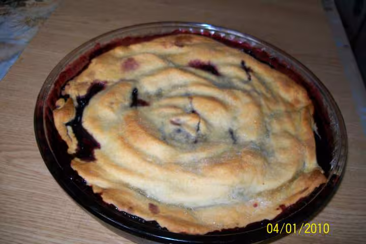 Tatin aux myrtilles et pommes