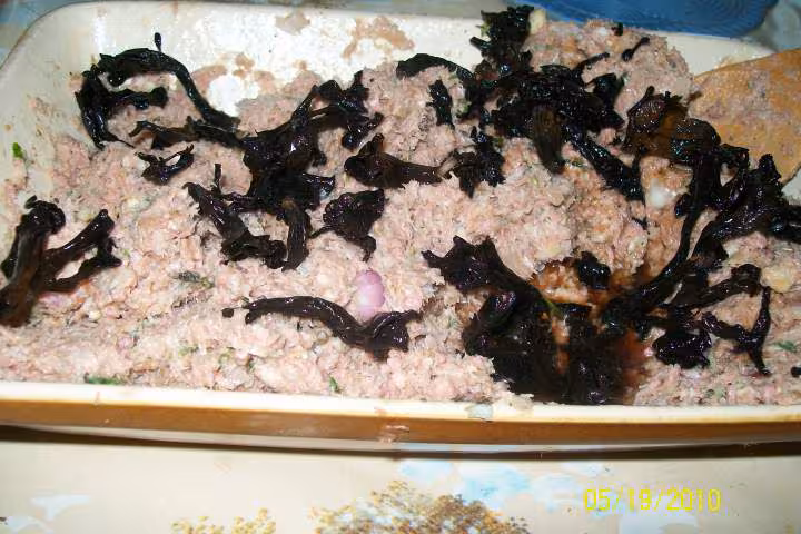 Terrine de canard champignons poivrons au porto