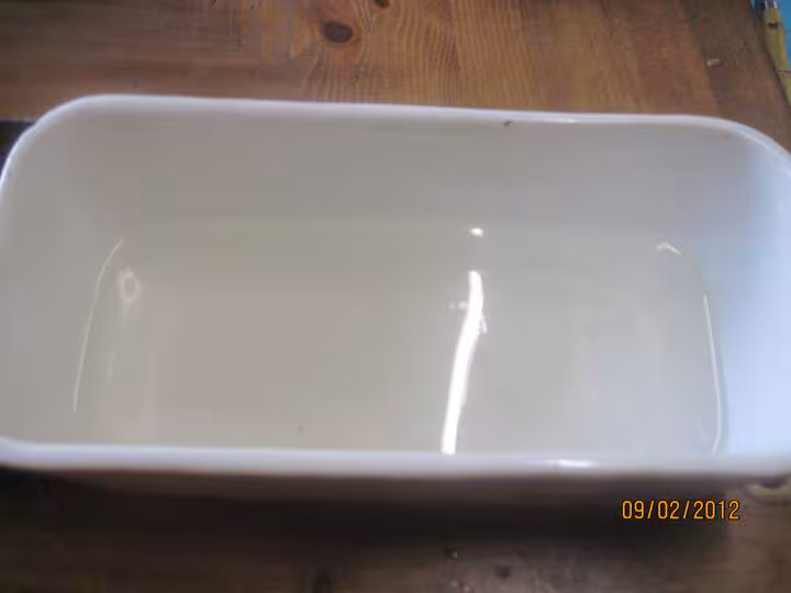 Terrine de carottes aux noix de st jacques