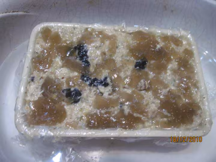 Terrine de poulet noix olives noires a la biere