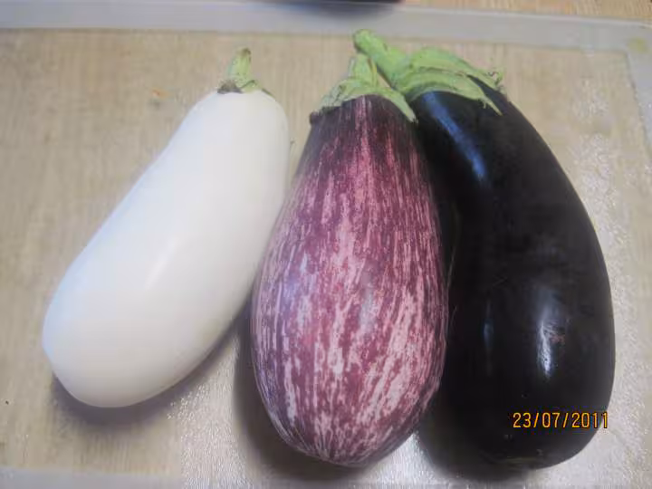 Trio d aubergines aux pois chiches