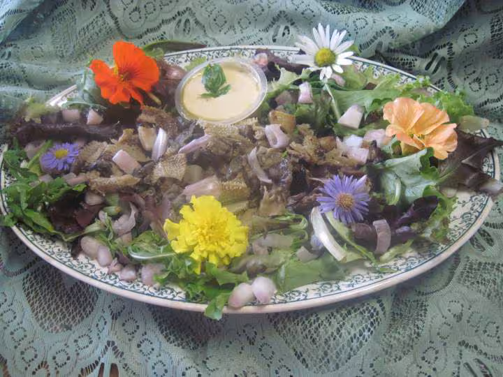 Tripes en salade aux meli melo de salade melanger