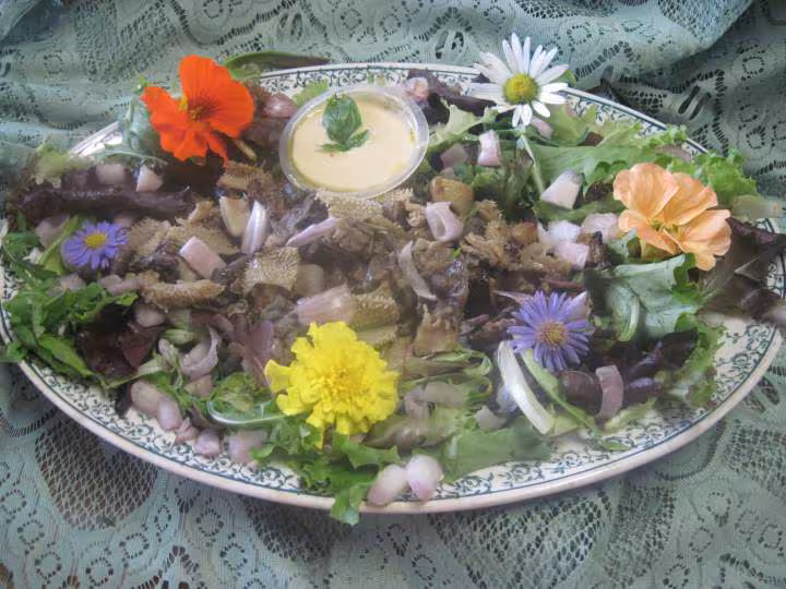 Tripes en salade aux meli melo de salade melanger
