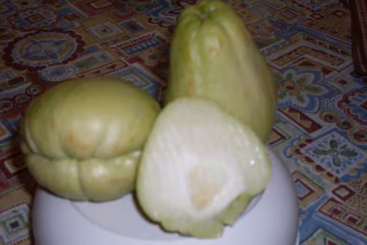 Tristophine verte