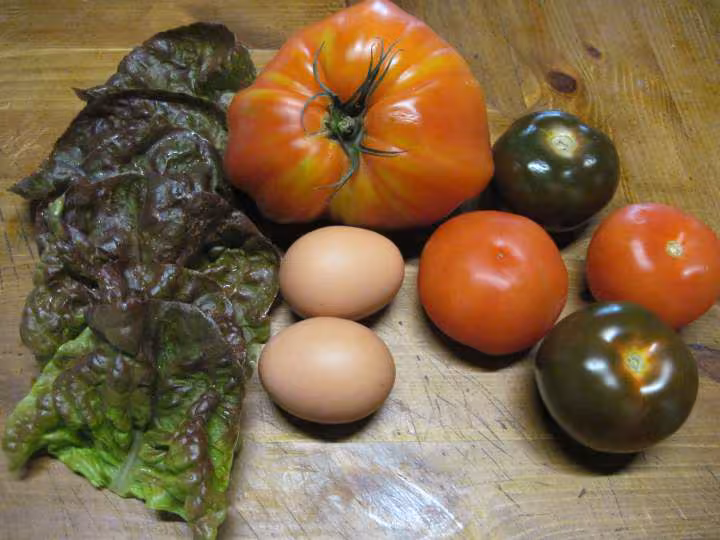 Une ritournelle de tomates variees