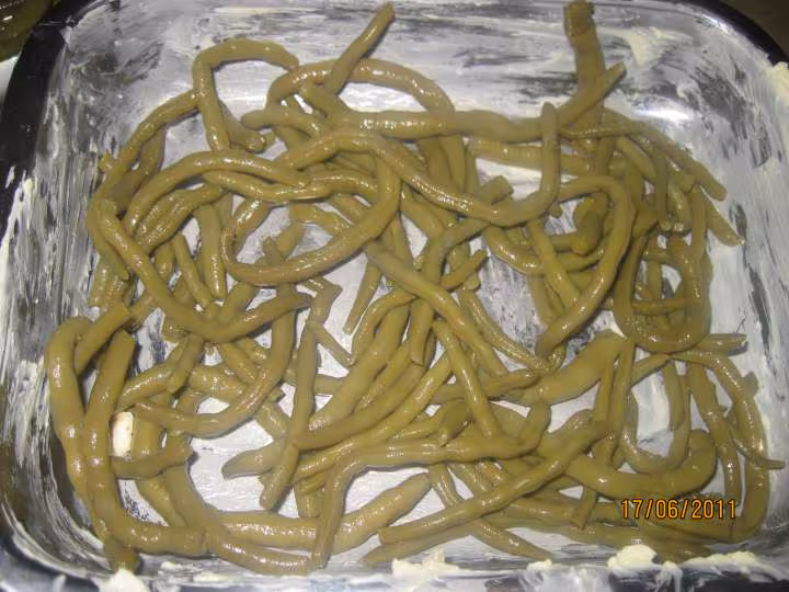 Veau hache et haricots verts gratine