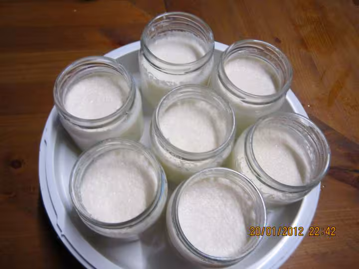Yaourts a la noix de coco