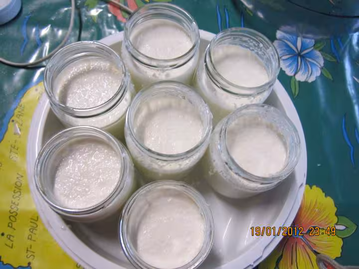 Yaourts a la noix de coco