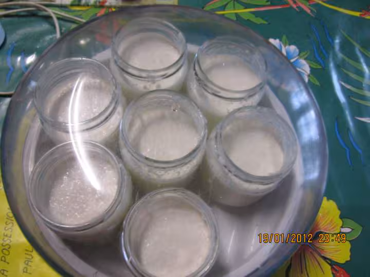 Yaourts a la noix de coco