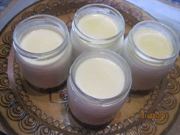 Yaourts aromatises a l orange yaourtiere
