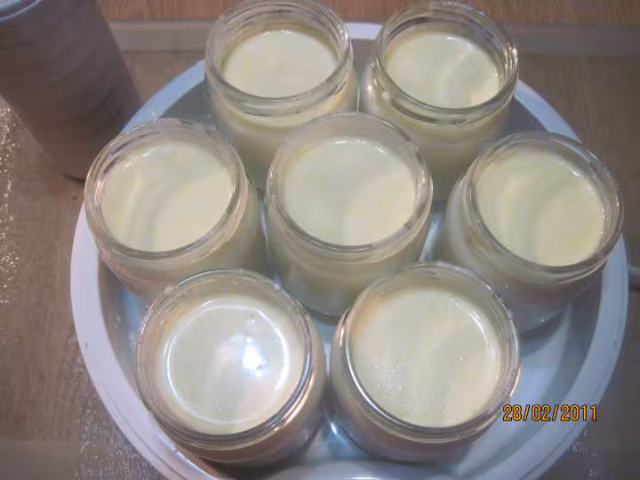 Yaourts aromatises a l orange yaourtiere