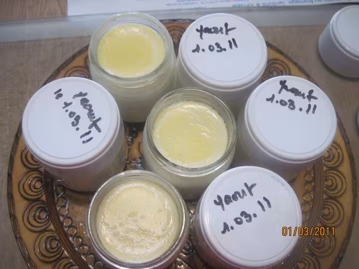 Yaourts aromatises a l orange yaourtiere