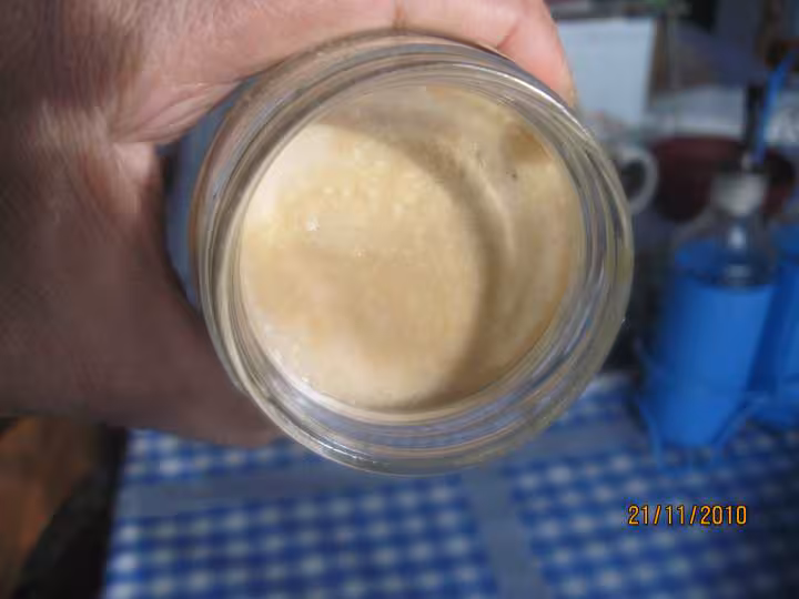 Yaourts au caramel non liquide yaourtiere