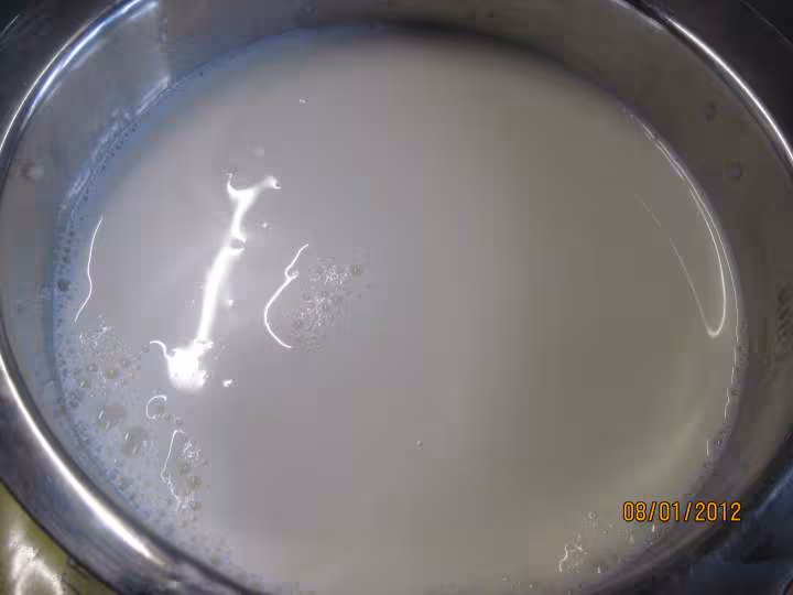 Yaourts au miel de chataignier