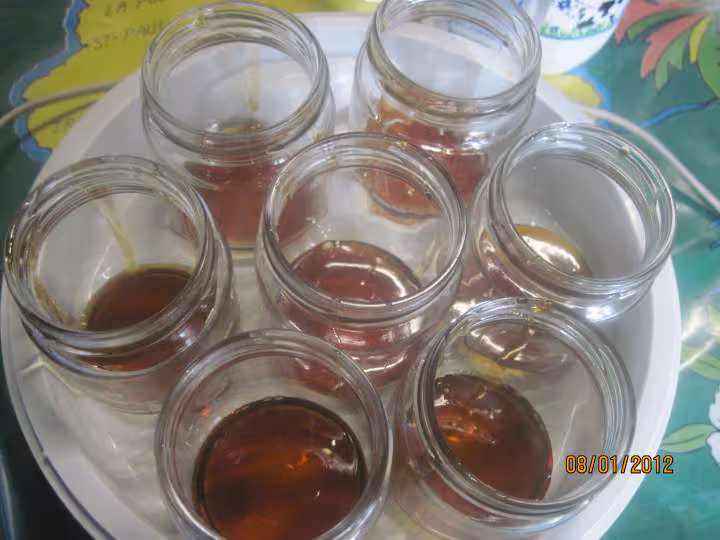 Yaourts au miel de chataignier