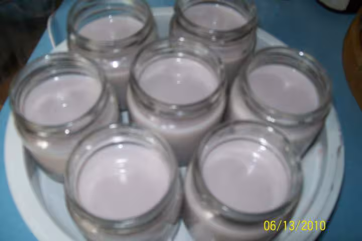 Yaourts au sirop de cassis yaourtiere